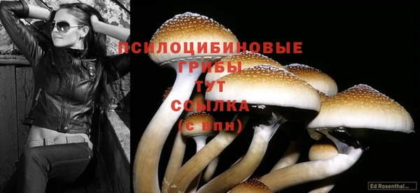 кристаллы Вяземский