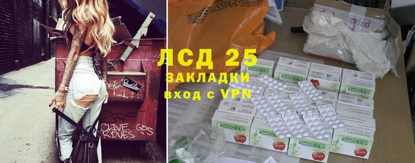 трава Карпинск